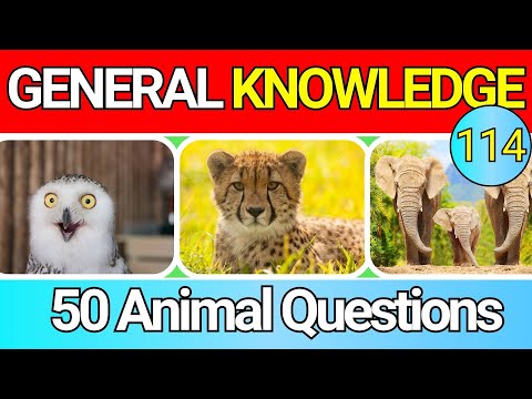 Animal World Quiz Trivia 🐵🐒  Educational General Knowledge Quiz Trivia 114 📚💡| 2024
