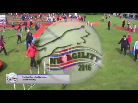 Dutch National Agility Championships 2016 Live Stream