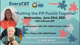 Putting the FIP Puzzle Together