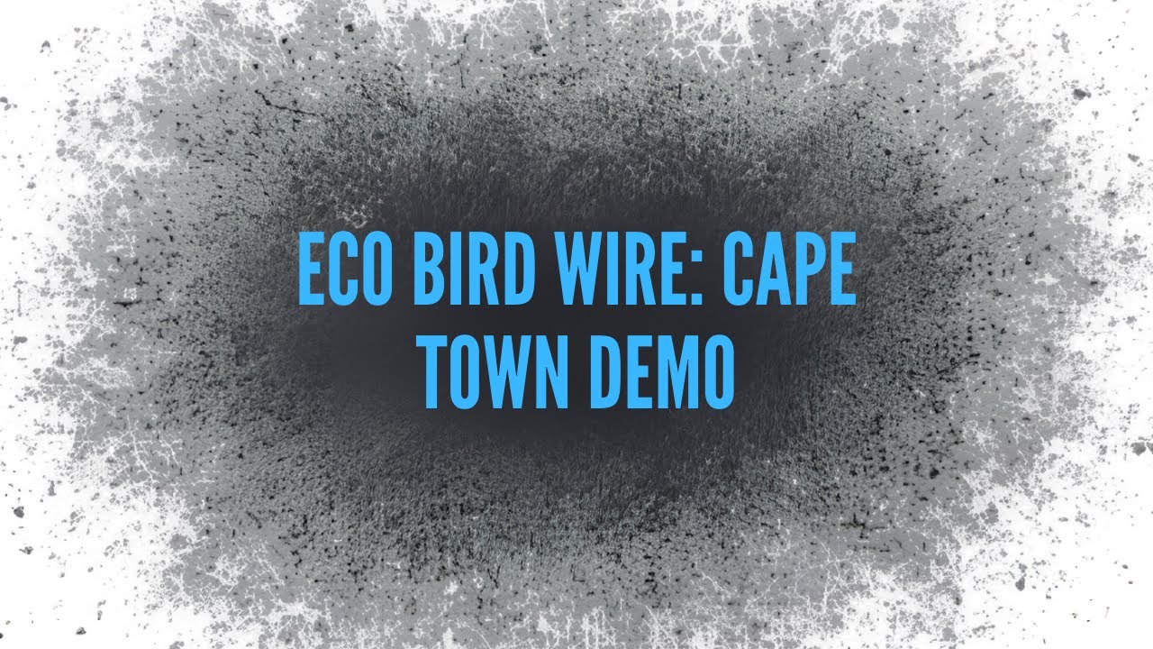 Bird Control Cape Town: Wire Installation Demo | Pest Managers