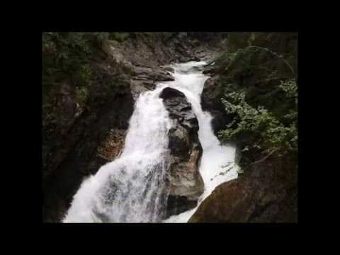 Jagd der Heiligung nach! Wie & Warum? Praktische Tipps