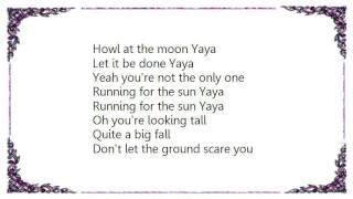 Edward Sharpe  the Magnetic Zeros - The Ballad of Yaya Lyrics