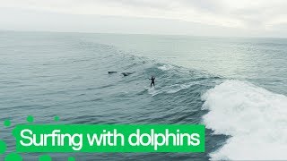 Dolphins Jump Alongside Surfer Off LA Coast
