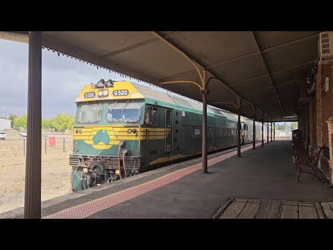 7736V PN up loaded grainy (G520 G523 BL27), Dimboola to Geelong, 1020, 16/2/25, Stawell VIC