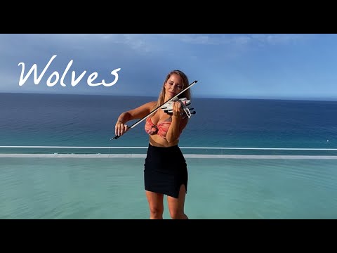 WOLVES (Selena Gomez) - Violin Cover by Sophie Moser