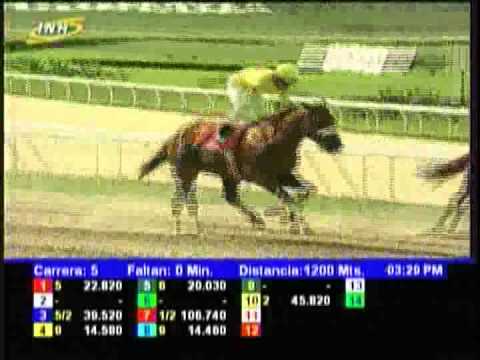 Resumen Sábado, 05 de Septiembre de 2015 - La Rinconada