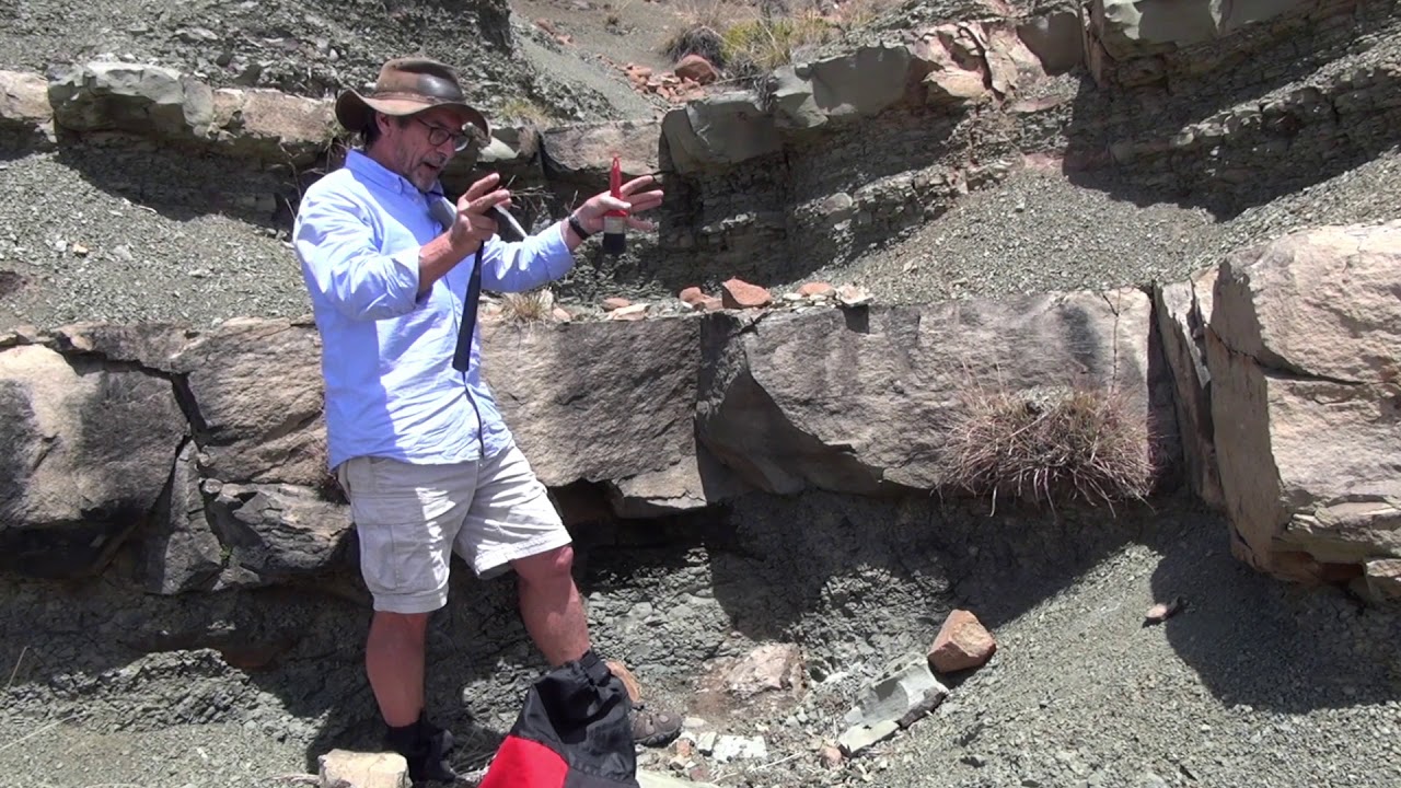 Lystrosaurus Excavation