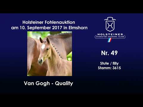 Nr. 49 v. Van Gogh - Quality