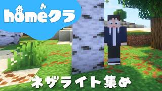 🔴【homeクラ】のんびりネザライト集め【マイクラ】