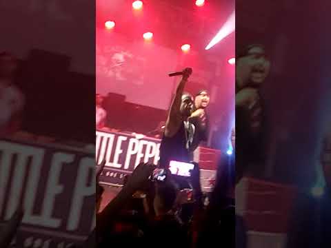 Summertime Little Pepe, Gordo Master y Juho directo [Sala Trinchera]