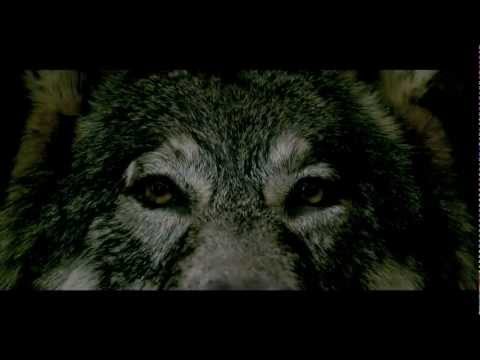 LJ Karwel, Kuba Knap, ZETENWUPE - Przed 1 płytą cz. 1