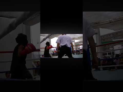 ボクシングスパーリング大会#小学生 #boxing #ボクシング #格闘技 #関優多