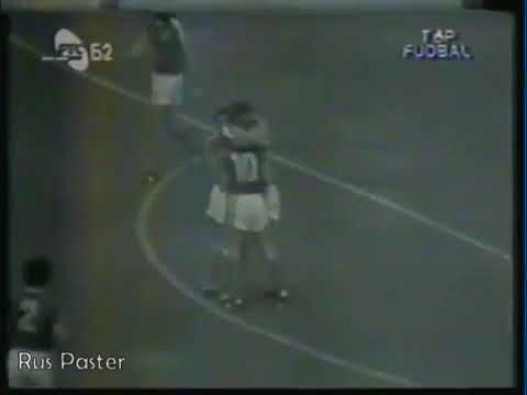 EURO-1976. Qualifiers. Group 3. Sweden - Yugoslavia - 1:2. Highlights.