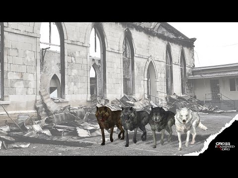 How can "TOLERANCE" DESTROY the church? Watch this!