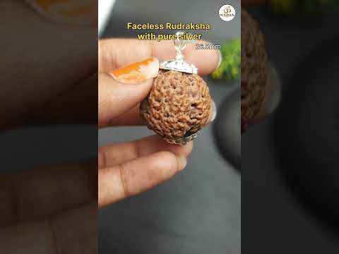 Nirakar Faceless / Unmukhi Rudraksha Nepal Big Size