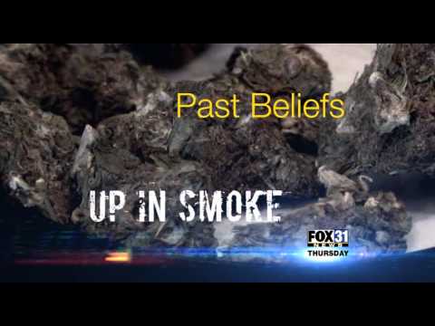 FOX31 News at Ten High Times Promo