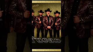 365 Dias, Tucanes De Tijuana