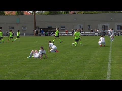 1L SZ FC Viktoria Plzeň - SK DFO Pardubice 0:2(0:0)