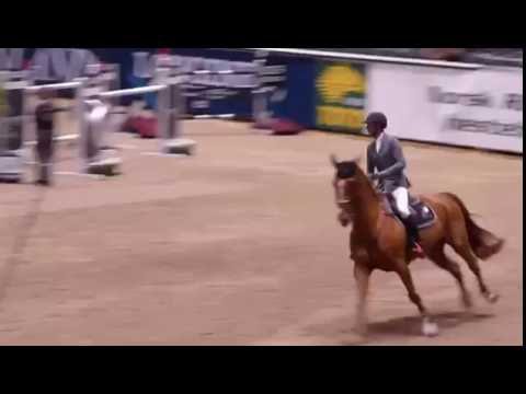 CSI5*W Oslo -  Kevin Staut & Qurack de Falaise*HDC - 1.50m - 2016