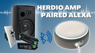 How to get Alexa to connect herdio's Bluetooth speakers with an amplifier