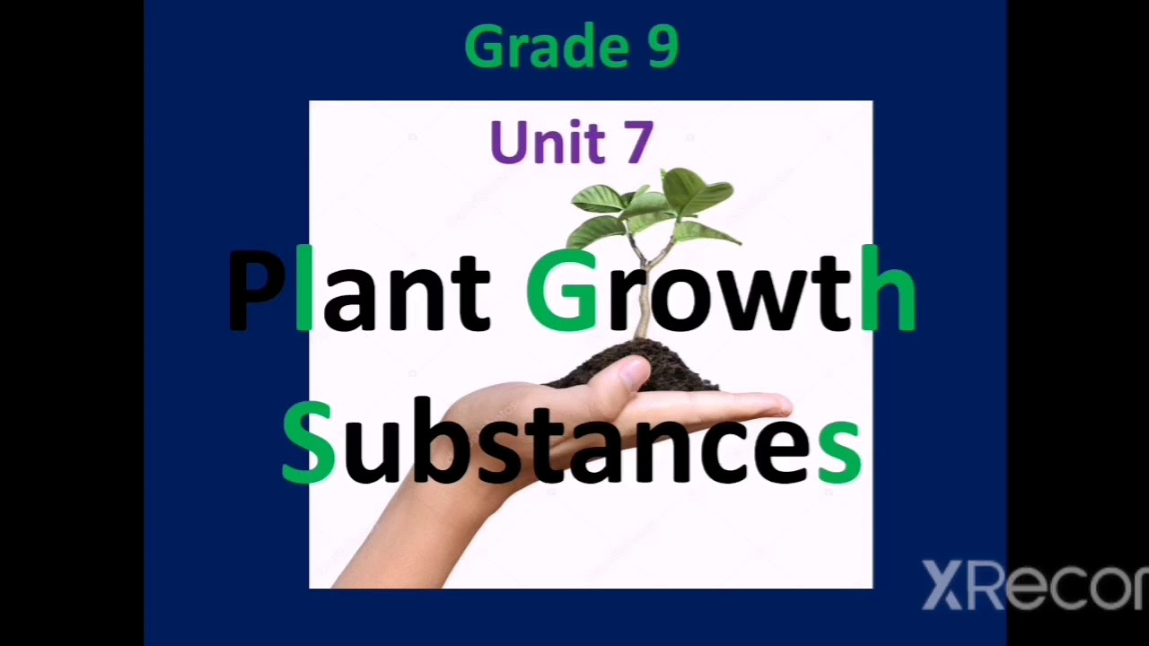 Plant growth substances - YouTube