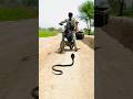 لڑکا سانپ دیکھ کر موٹر سائیکل روک لیا😲
