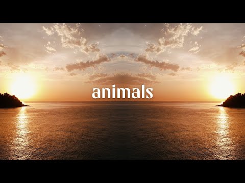 SouMix, beyondlight., Notscandal & Afro Queen - Animals (Afro House)