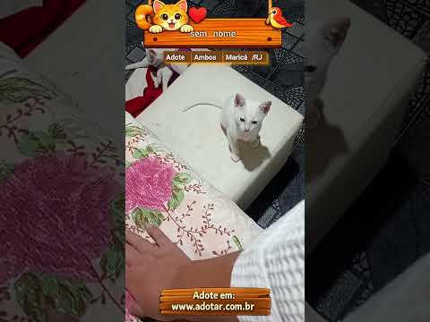 Vídeo de sem nome 