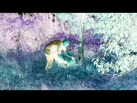 MOSTRO DI FIRENZE - IN CERCA DEL MOSTRO (Vol. II: Rus, ruris)