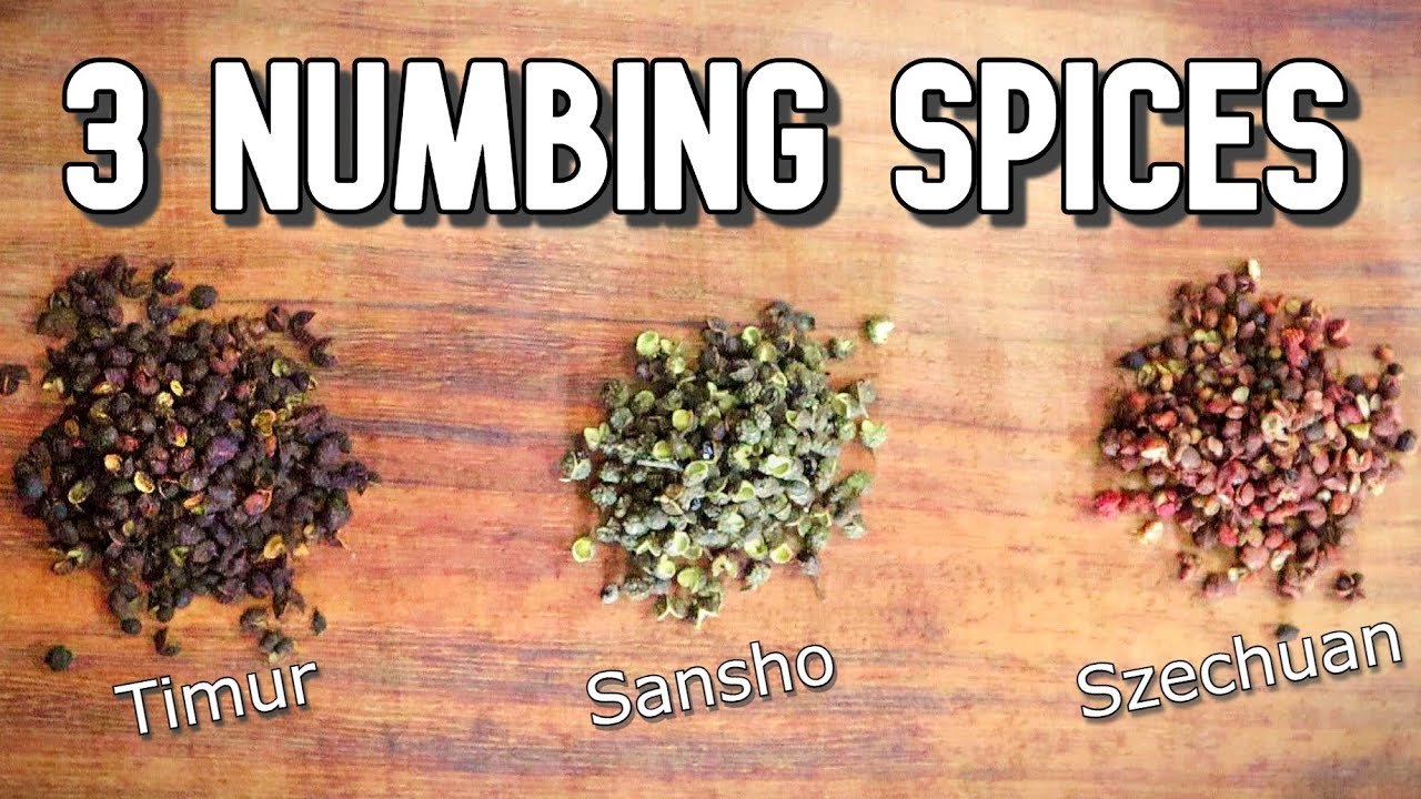 What is TIMUR PEPPER - How to Use this Nepalese Spice Related to Szechuan Pepper - Spice Finds