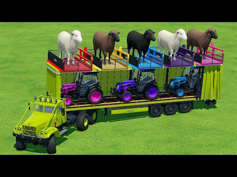 LOAD & TRANSPORT SHEEPS and MINI LANDINI TRACTORS with OLD TRUCK - Farming Simulator 22