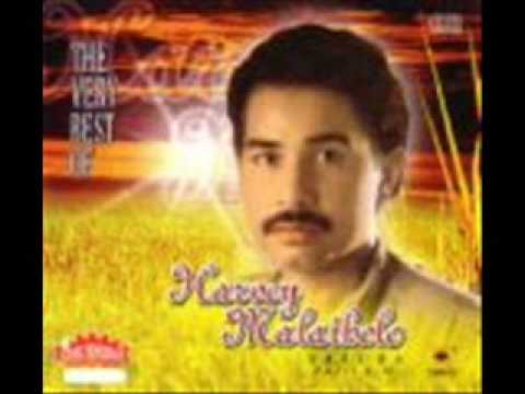 Harvey Malaiholo - Dia