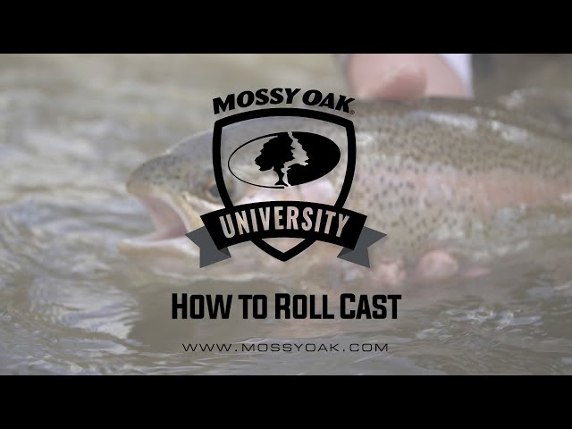 Fly Fishing 101 5 Tips For Beginners Mossy Oak