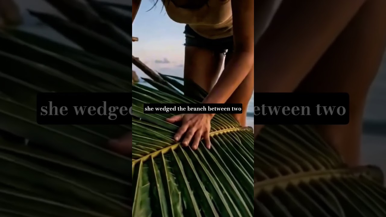 No shelter, no food, just determination #survival #wildalone #desertedisland