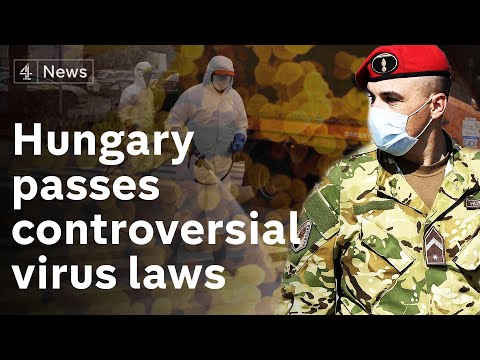 Hungary passes controversial coronavirus law - opposition say puts democracy in 'quarantine'