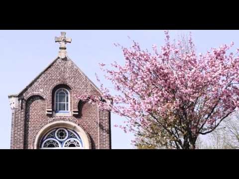 Netherlands: Amsterdam to Antwerp Bike Tour with Freewheeling Adventures