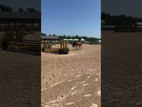 Adamo video 2