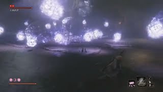 【SEKIRO】完全初見で駆け抜ける！ part10