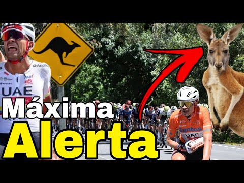 Resumen Etapa 5 ➣ Santos Tour Down Under 2026 | Caos en la Carretera