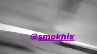 reezy - Amor oder Sensei / Snippet