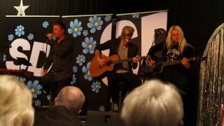 Bedårande barn - Knivhuggarrock || Tomas Ledin