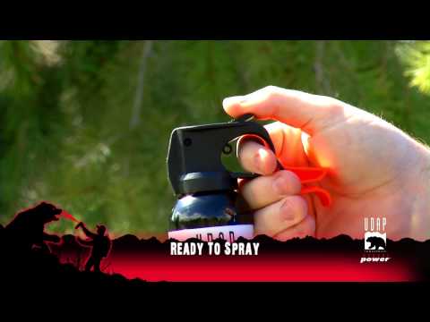 Scheels Bear Spray