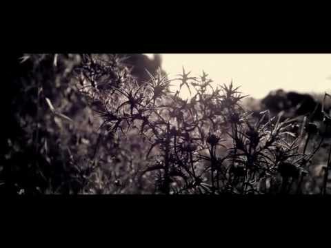 "Rise" - Afshin Toufighian & Ali Youssefi