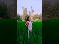 Panchi Ban Ke Udta Hai Ye Hindi Old Best Swativerma Dance