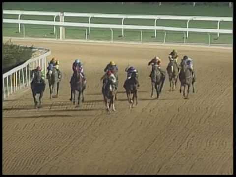 2017-03-03 Macau Meeting Race 5(0175) - THE FORTALEZA