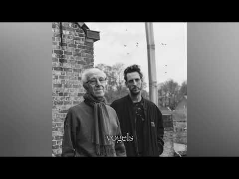 Froze x Raymond van het Groenewoud - Vogels