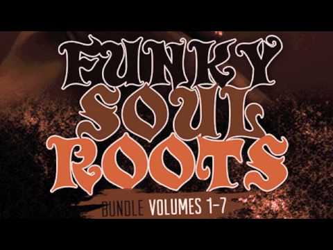 BigCitiLoops - Funky Soul Roots Bundle 1-7