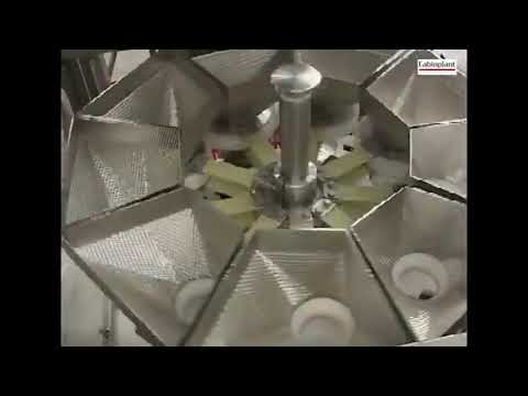 Cabinplant Vibratory Rotary Filler Dispensing Pickles into Glass Jar1