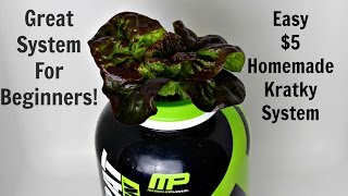 Easy $5 Homemade Hydroponics System DIY in 5 Minutes Kratky Method