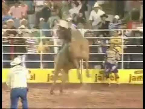 Jairo dos Santos Primo Pantaneiro vs Manequim Cia Paulo Emilio, rodeio de Colorado 2008
